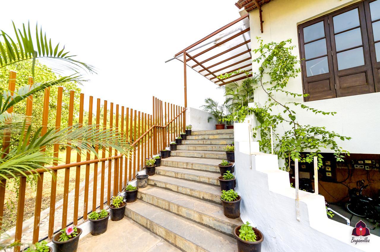 Bougainvillea Hotell Alībāg Exteriör bild